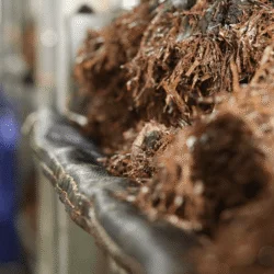 Mushroom Composting for Commercial Farms