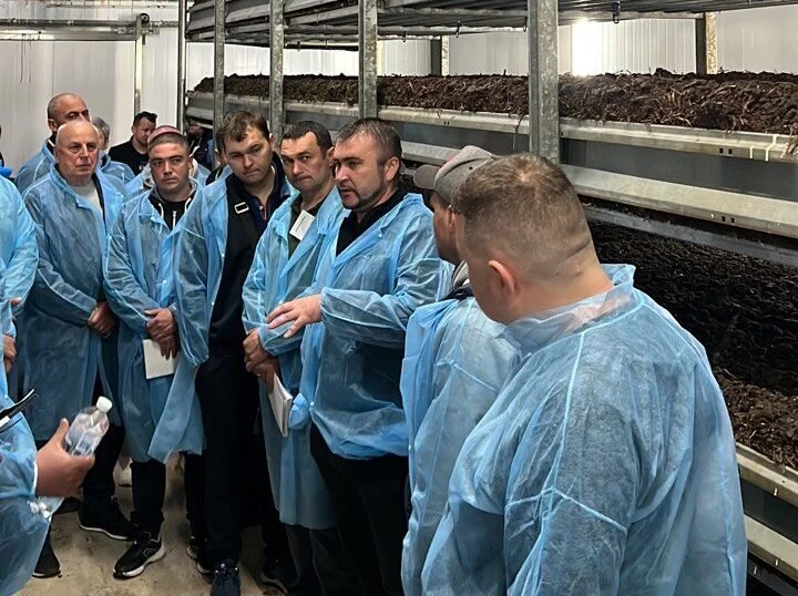 Fungi Farm