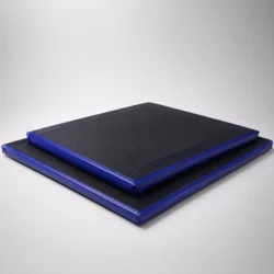 Professional disinfection mat for shoe disinfection, 3 cm high (various sizes)