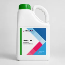 Pegas 5 l