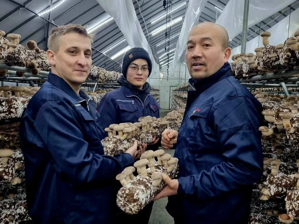 Exotic Mushroom Center (Qihe Farm)