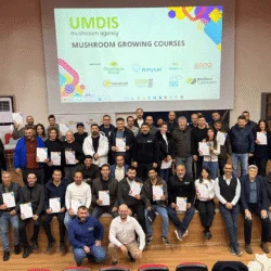Mushroom Growing Course Turkey