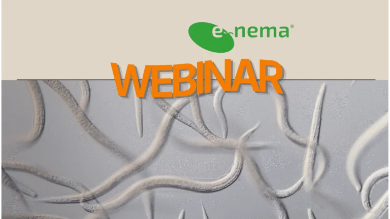 Webinar with e-nema