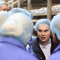 Mushroom farm supervisor’s essentials