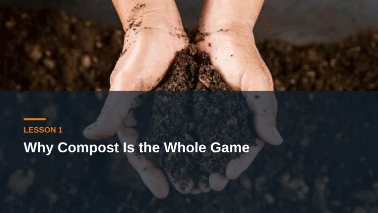 Lesson 1: Why Compost Is the Whole Game — mushroom compost live course