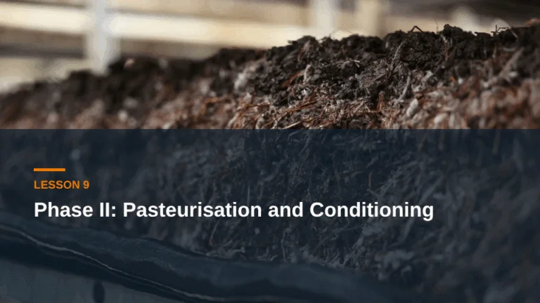 Lesson 9: Phase II: Pasteurisation and Conditioning — mushroom compost live course
