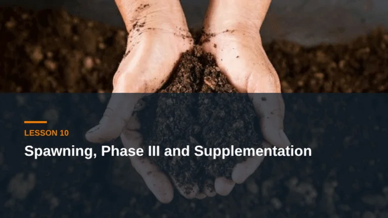 Lesson 10: Spawning, Phase III and Supplementation — mushroom compost live course