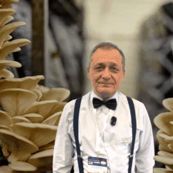 Oyster Mushroom Growing Course